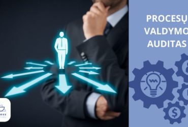 procesų valdymo auditas